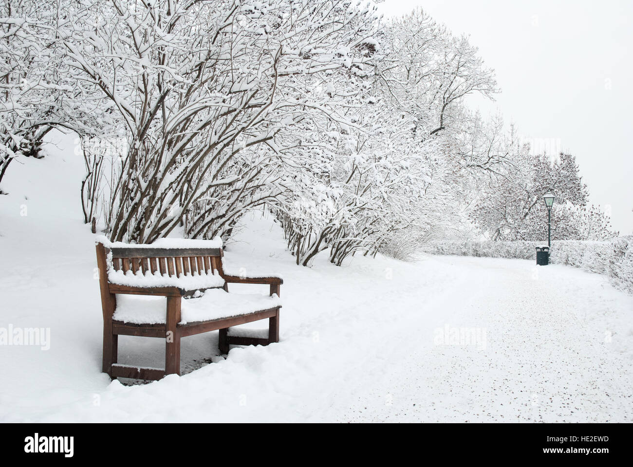 Park bench and trees covered by heavy snow Stock Photo - Alamy