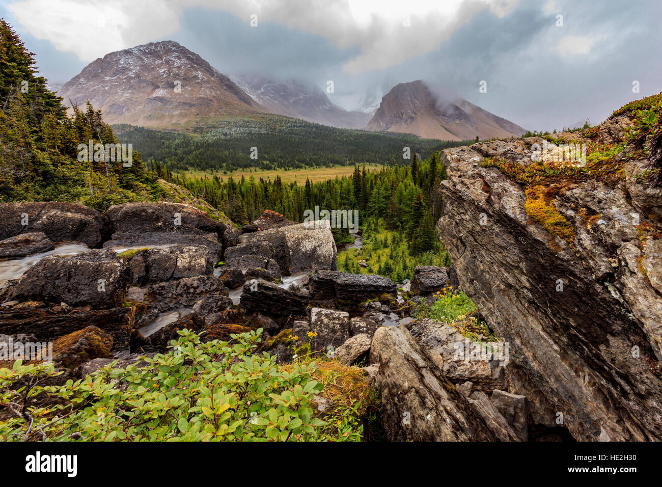 Baker creek cascades from Baker lake over a rock ledge into the Skoki
