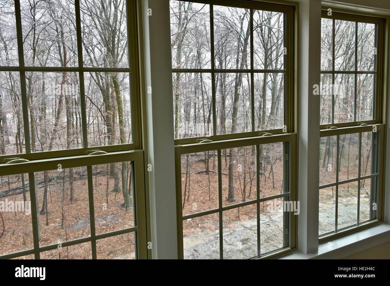 A view a wooded landscape from inside a home Stock Photo