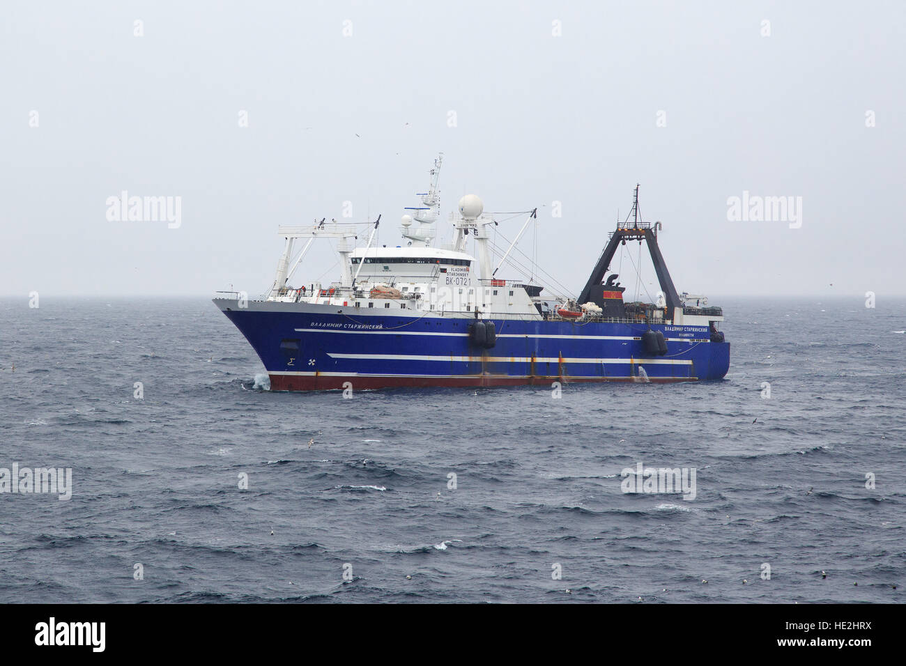Anadyr, Russia – Jun 18th, 2016: Port Anadyr, the Bering Sea, fishing seiner VLADIMIR STARZHINSKY fishes. Stock Photo
