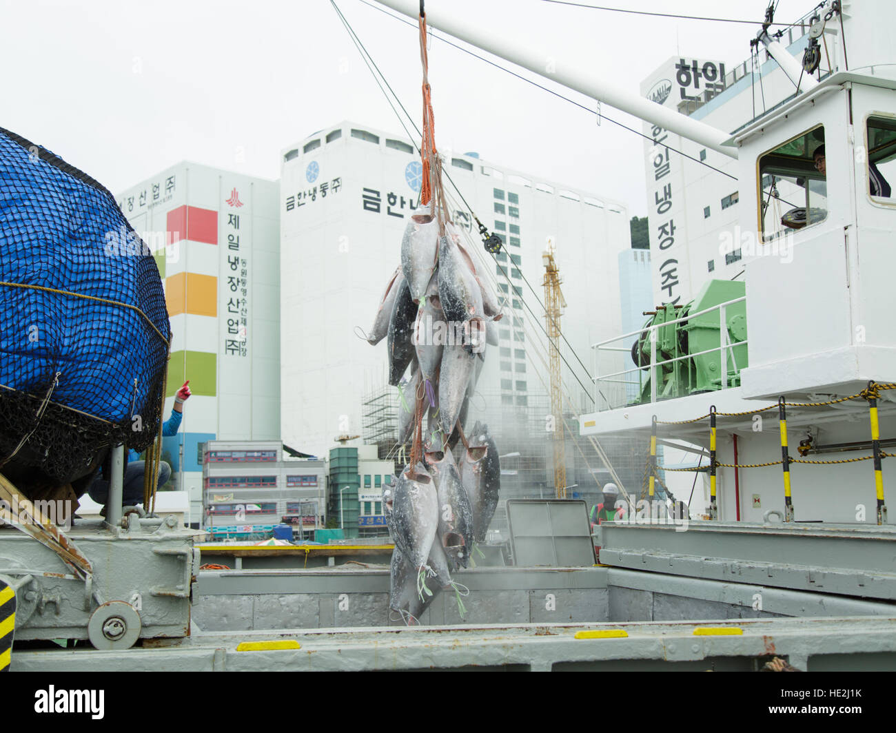 Busan, South Korea September 22th, 2016 Busan, fish port, unloading