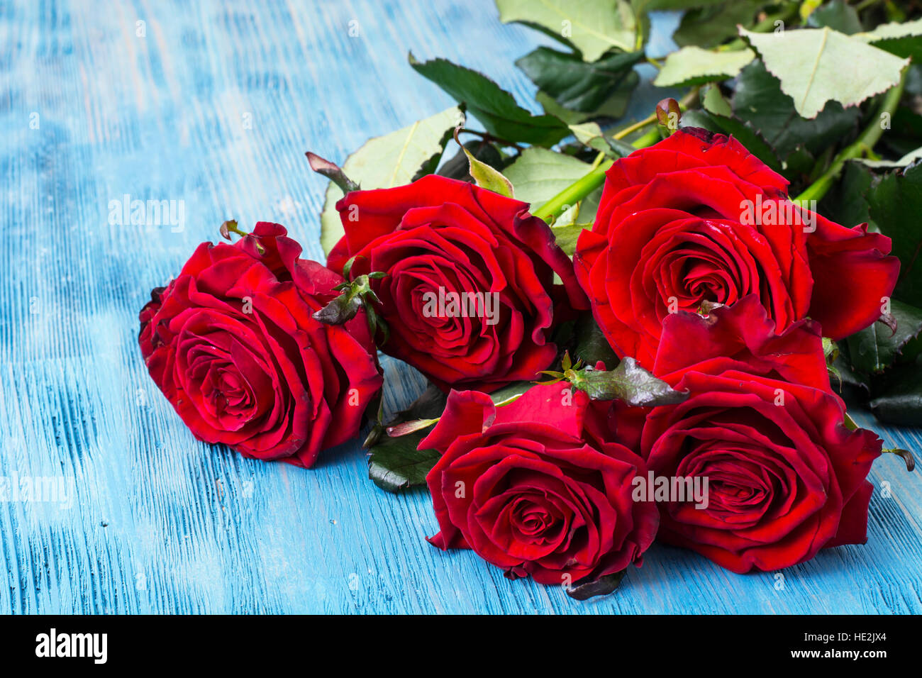 Flowers on a blue background Stock Photo - Alamy