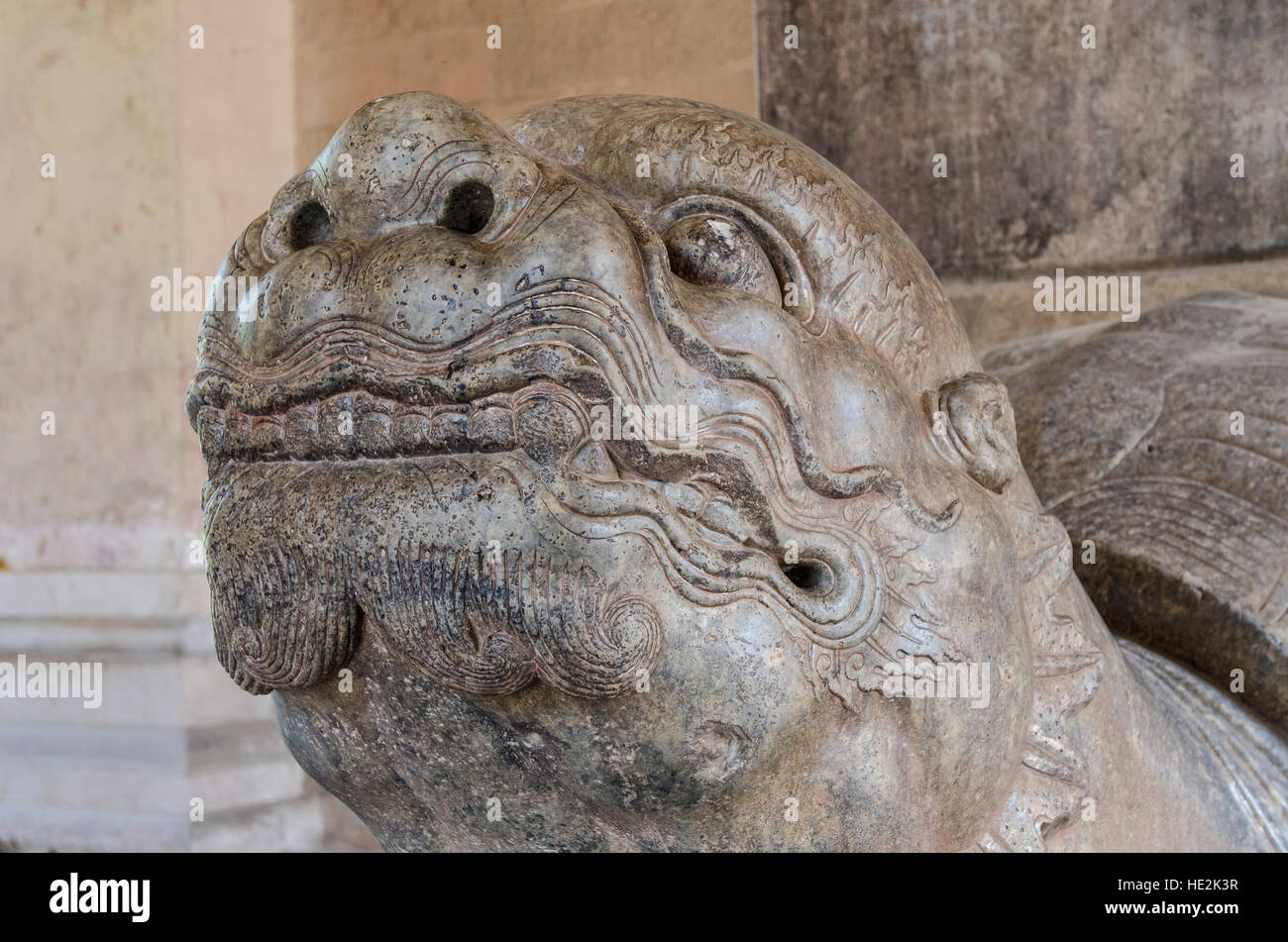 Turtle stele hi-res stock photography and images - Alamy
