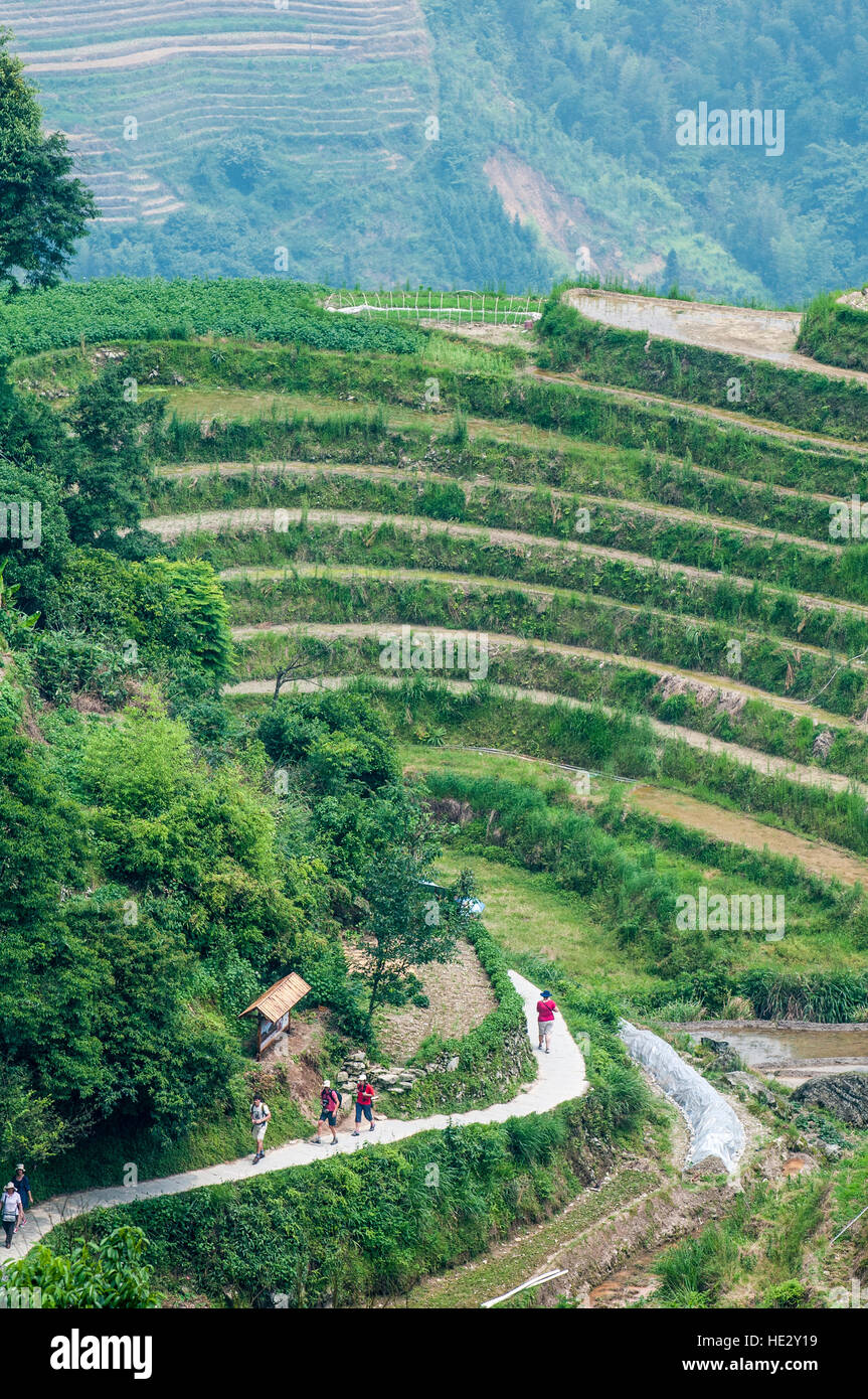 Hiking hikers Longsheng Longji Dragon Spine Rice Terraces paddies fields on hillside Longsheng, guilin, Guangxi, China. Stock Photo