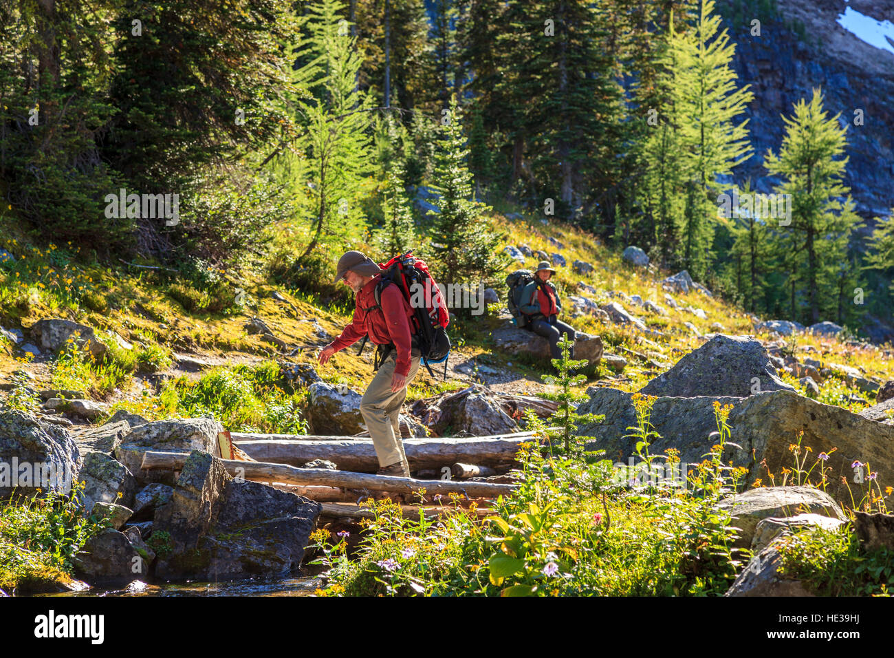 Back packers hiking the trail to Egypt lake in Banff National Park Alberta Canada Stock Photo