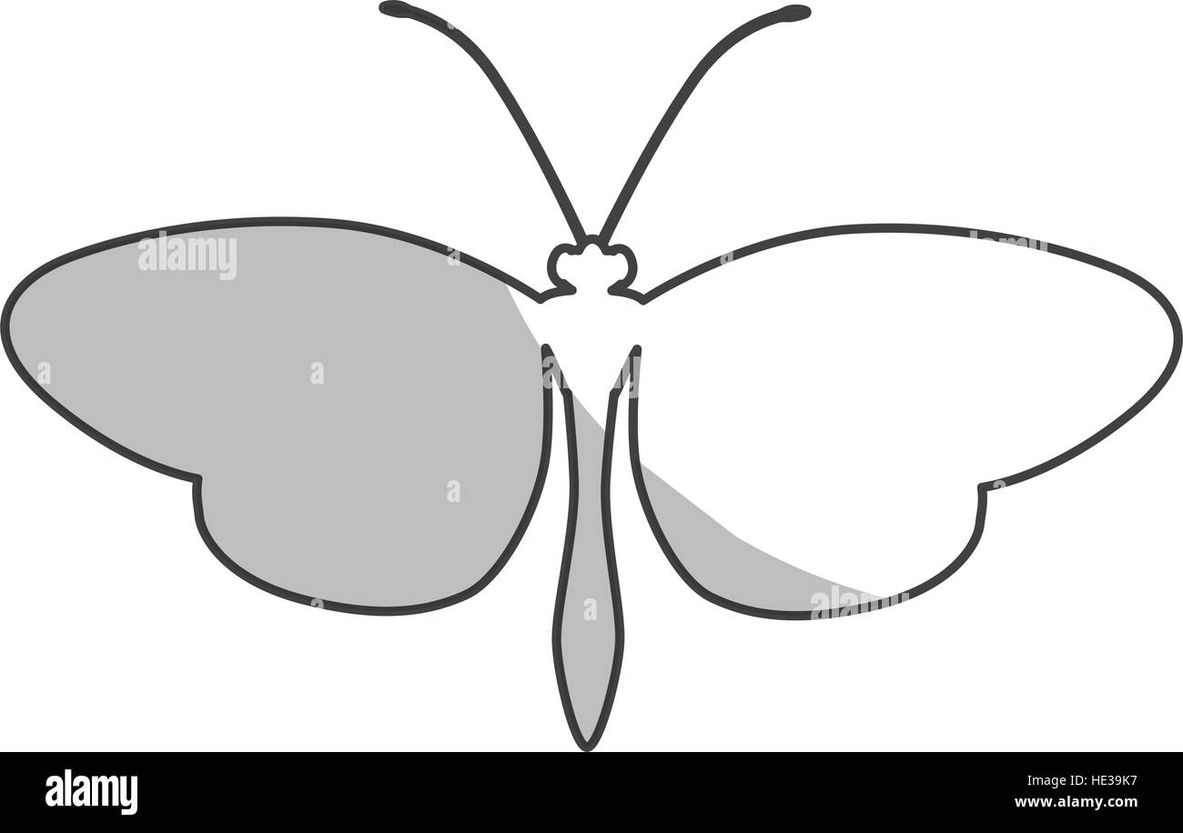 butterfly icon over white background. vector illustration Stock Vector ...