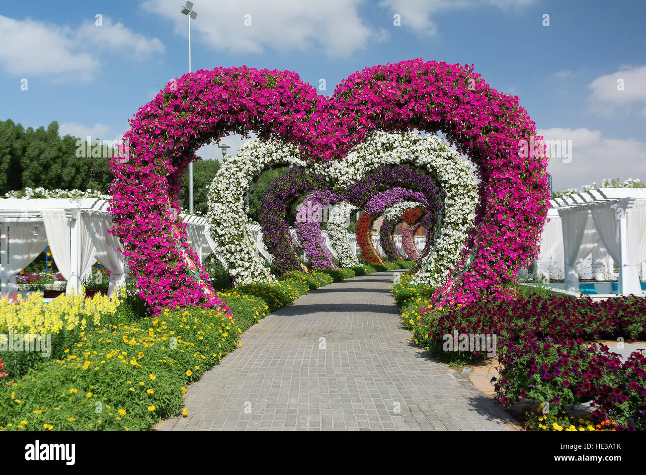 DUBAI, UNITED ARAB EMIRATES DECEMBER 8, 2016 Dubai Miracle Garden is