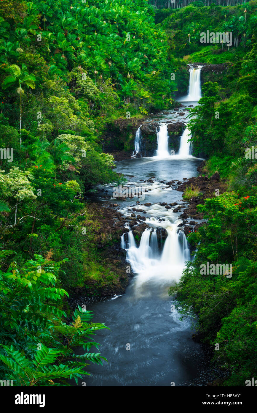 Umauma Falls along the lush Hamakua Coast, The Big Island, Hawaii USA Stock Photo