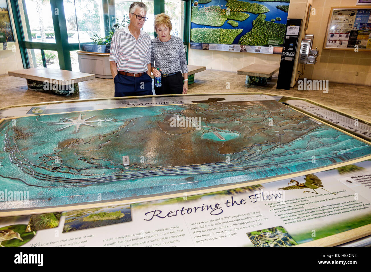 Florida Everglades,Alligator Alley,Collier County visitors center,exhibit exhibition collection relief map,senior seniors citizen citizens,couple,look Stock Photo