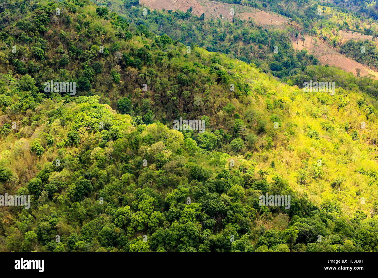 aerial view of the forest Stock Photo - Alamy