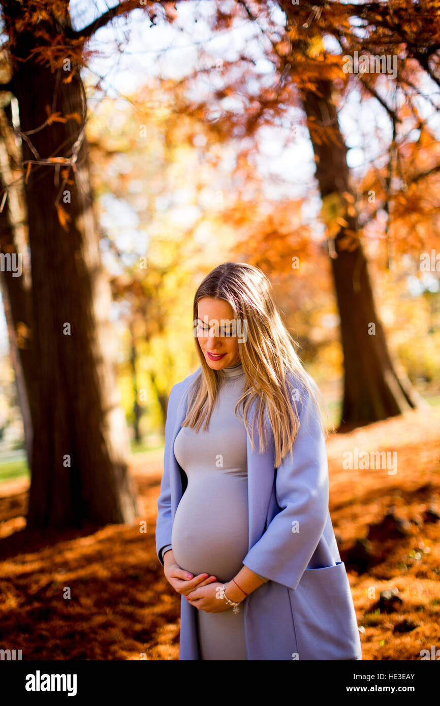 View at young pregnant woman posing in autumn park Stock Photo - Alamy