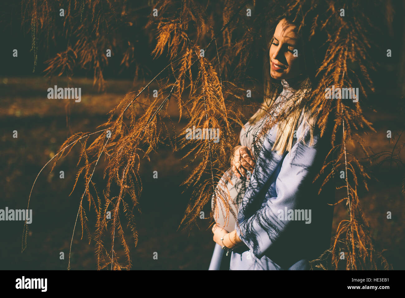 Young pregnant woman posing in autumn park Stock Photo - Alamy