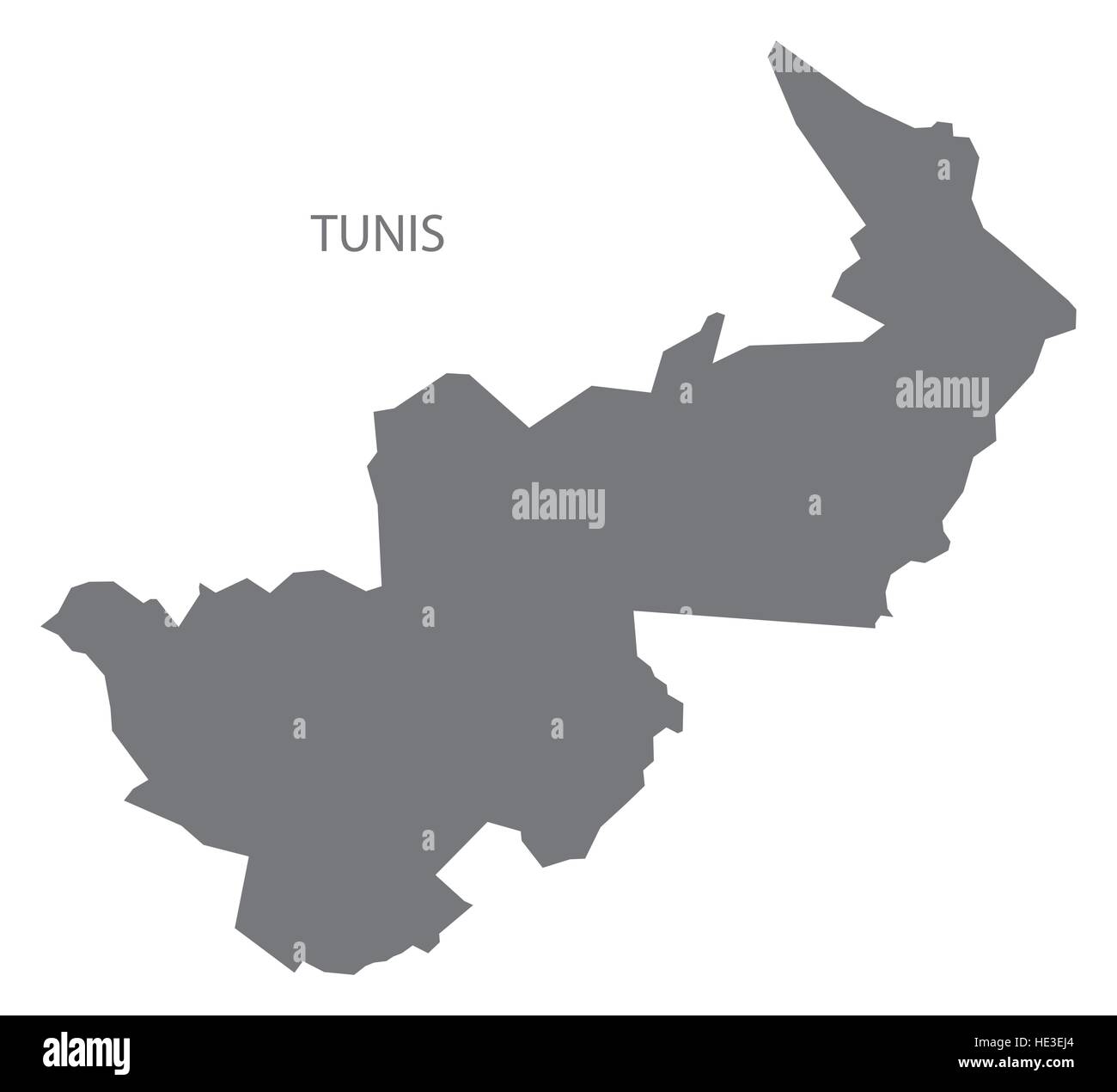 Tunis Tunisia Map in grey Stock Vector