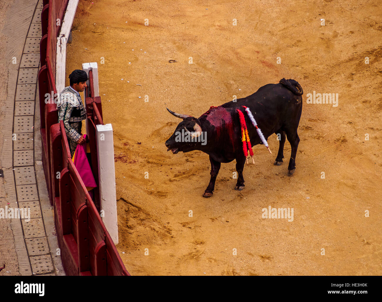 Spain, Madrid,  Bullfighting Novillada Picada on the Bullring Plaza de Toros de Las Ventas. Stock Photo