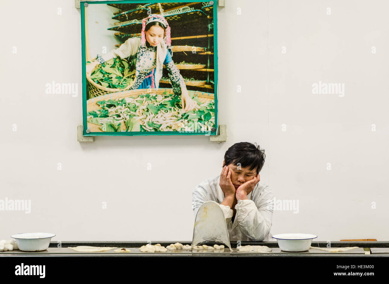 Silk cocoon inspector production factory worker naps napping at the Silk Spinning Mill Suzhou, China. Stock Photo