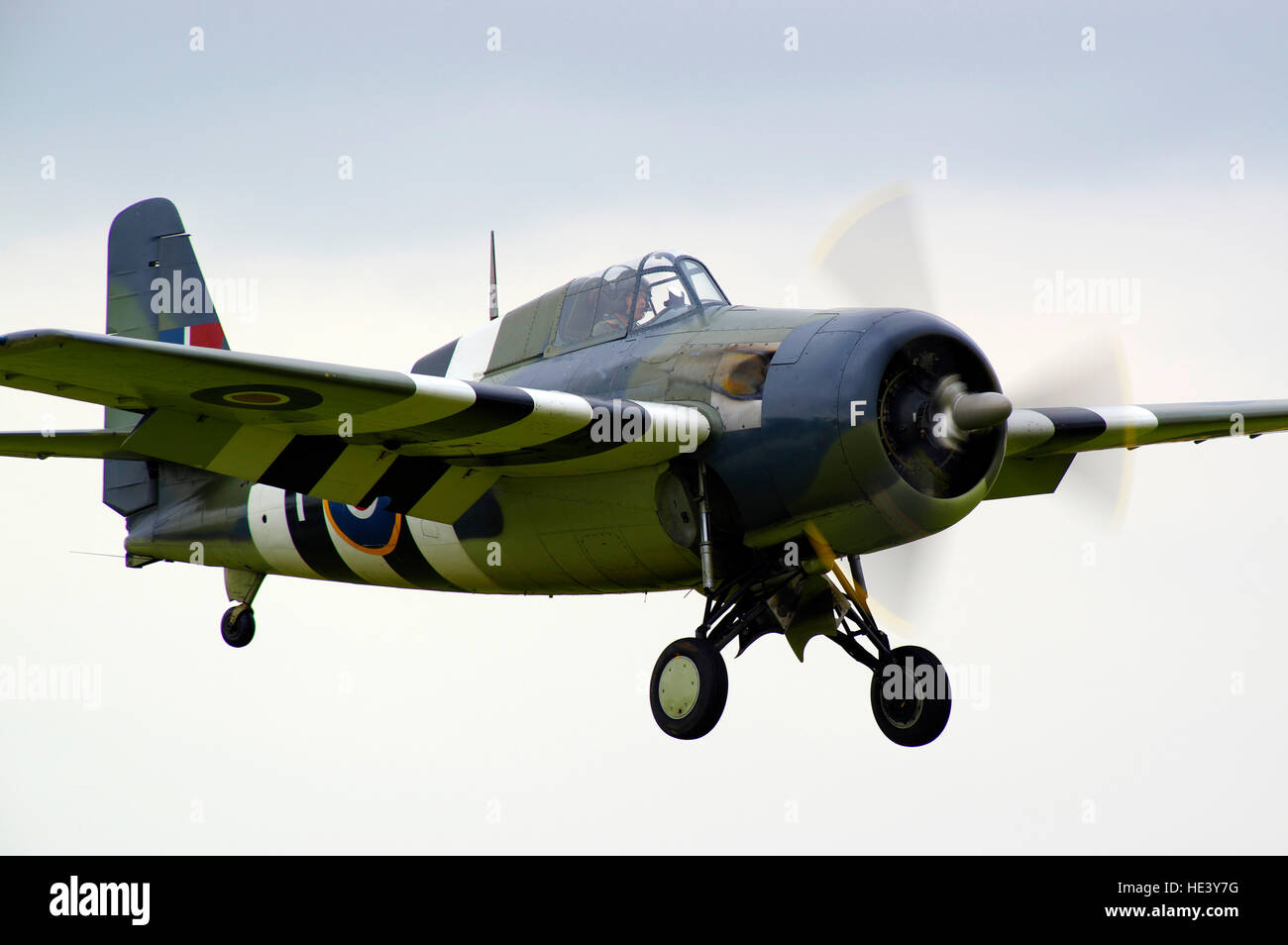 Grumman FM-2 Wildcat,  Martlet JV579, G-RUMW, IWM, Duxford, England, United Kingdom, Stock Photo