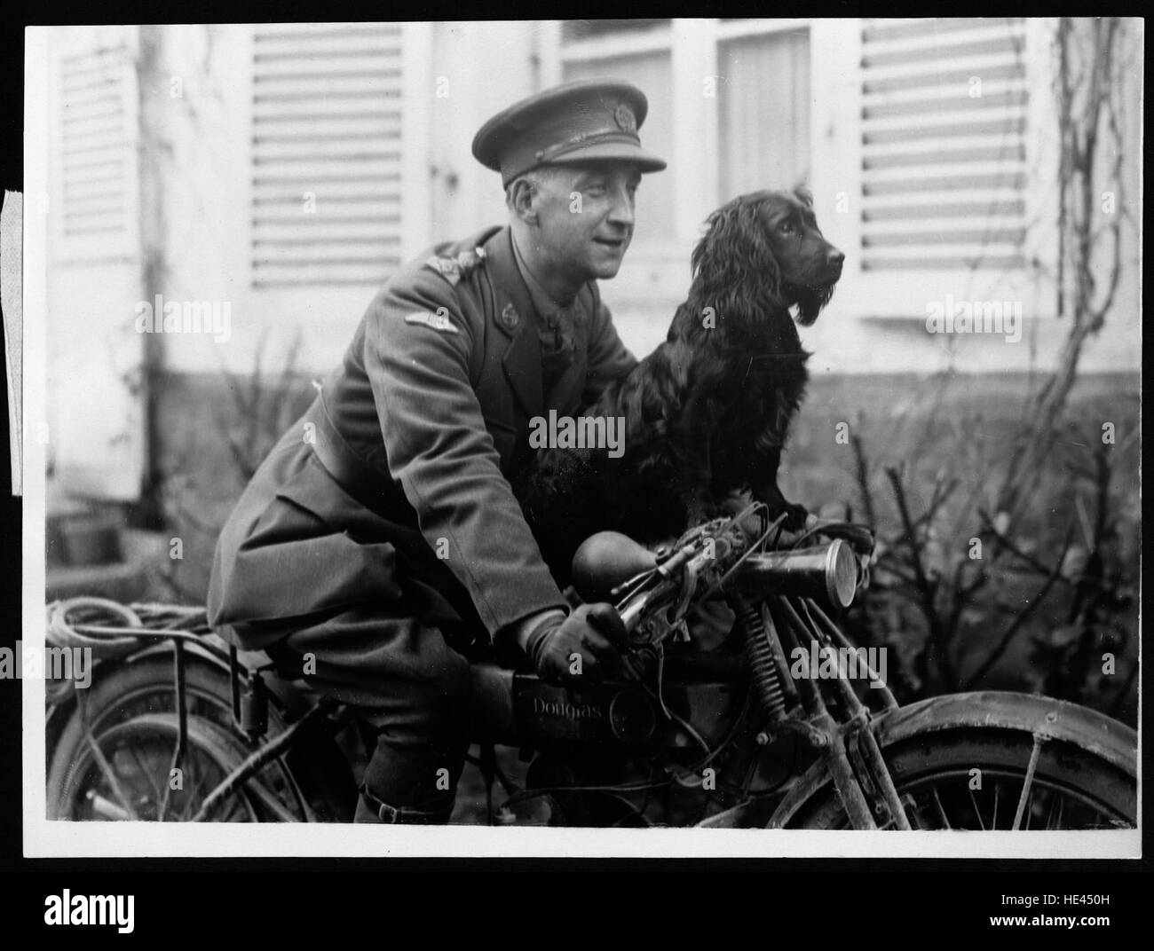 Stunter, the clever mascot of the Tank Corps who, owing Stock Photo