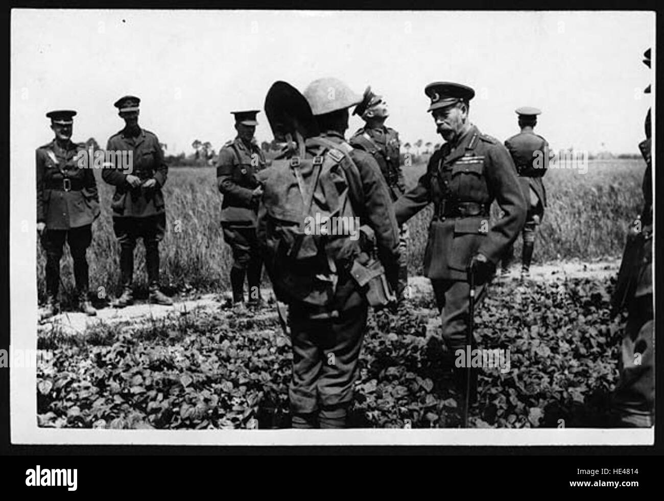 Monarch interaction Black and White Stock Photos Images Alamy