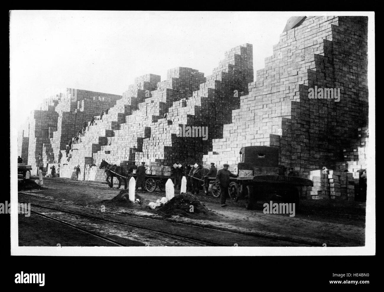 This historic image from World War I shows vast quantities of food supplies and logistics for the British Army, likely under the leadership of General Haig. The image highlights the monumental scale of provisions required for troops, horses, and war logistics during the Great War, with the National Library of Scotland holding the archival record of this period. Stock Photo