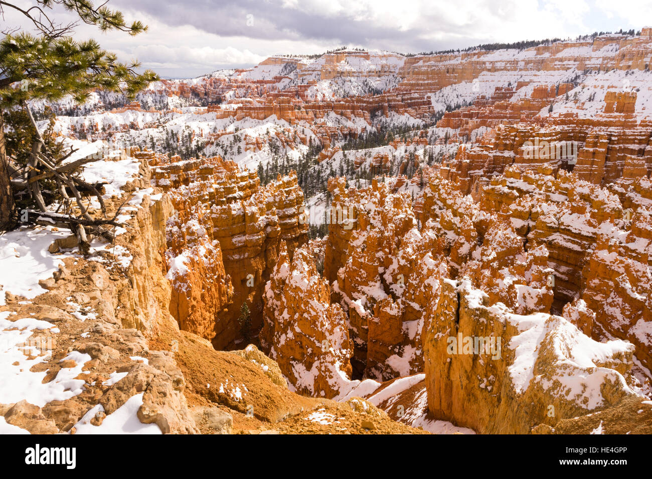 Fresh Snow Blankets Bryce Canyon Rock Formations Utah USA Stock Photo