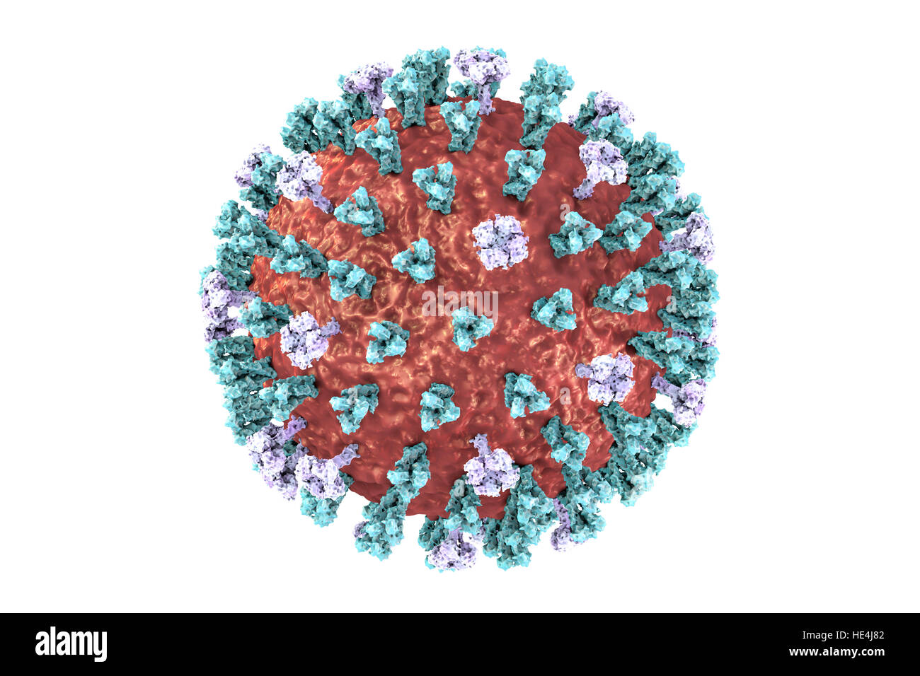Bird flu virus. 3D illustration of an avian influenza H5N8 virus particle. Within the viral lipid envelope (red) are two types of protein spike, hemagglutinin (H, blue) and neuraminidase (N, purple), which determine the strain of virus. This strain of the virus has caused disease in wild birds and poultry in Europe and Asia since June 2016. Unusually, the virus causes mortality in wild birds, which are more often silent carriers. As of December 2016 no human cases of the disease have been reported, and risk of transmission to humans is thought to be low. Stock Photo
