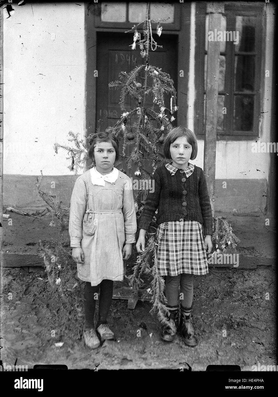 Doi copii cu brad, anul nou 1943-1944 Stock Photo