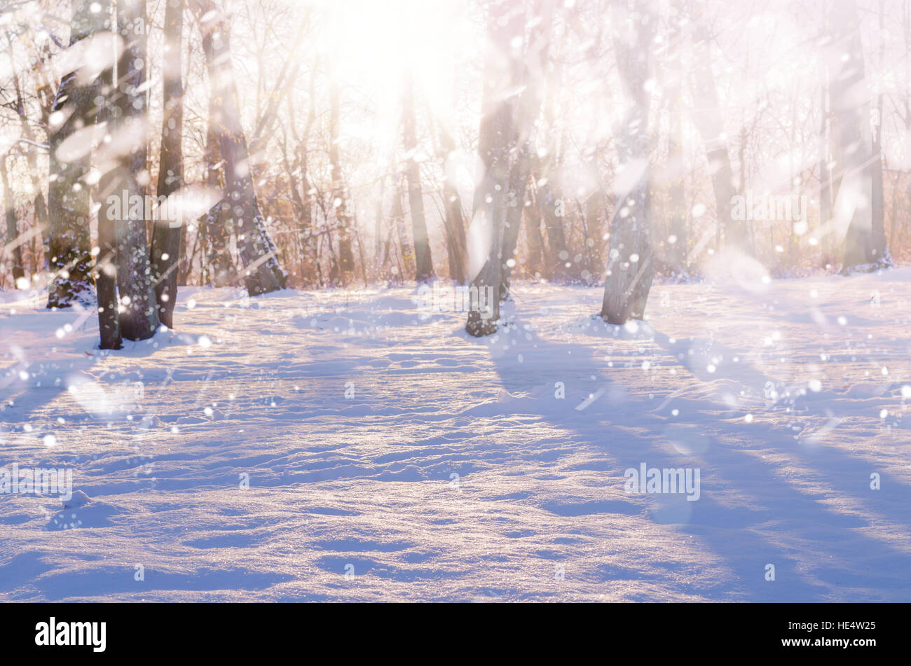 Page 4 | Snow Night Stock Photos, Images and Backgrounds for
