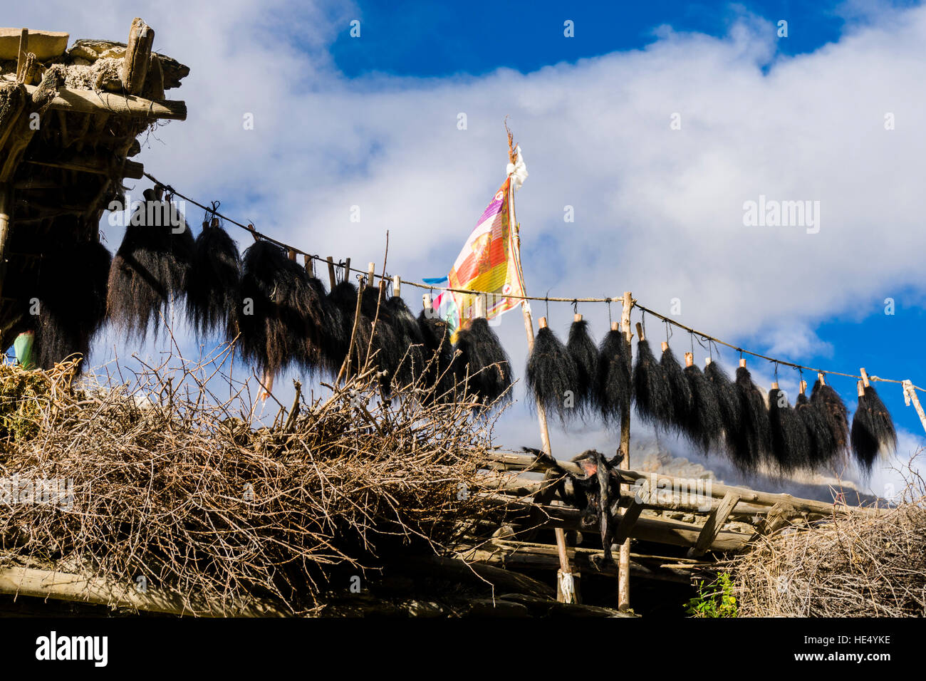 Yak hair in bunches is put on the roof of a farmhouse to dry in the sun