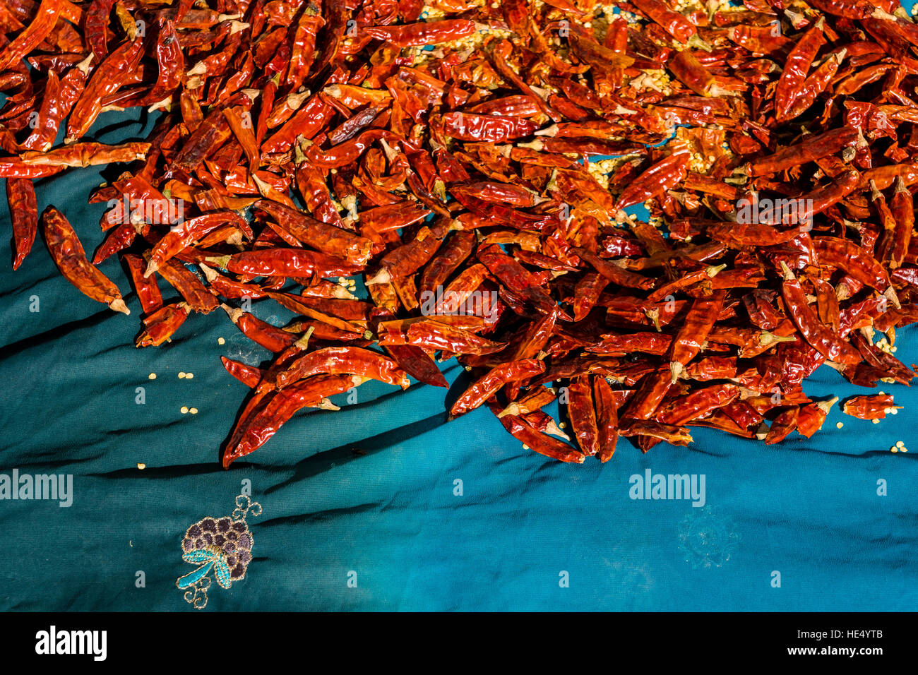 Red chili's are drying in the sun on a blue blanket Stock Photo
