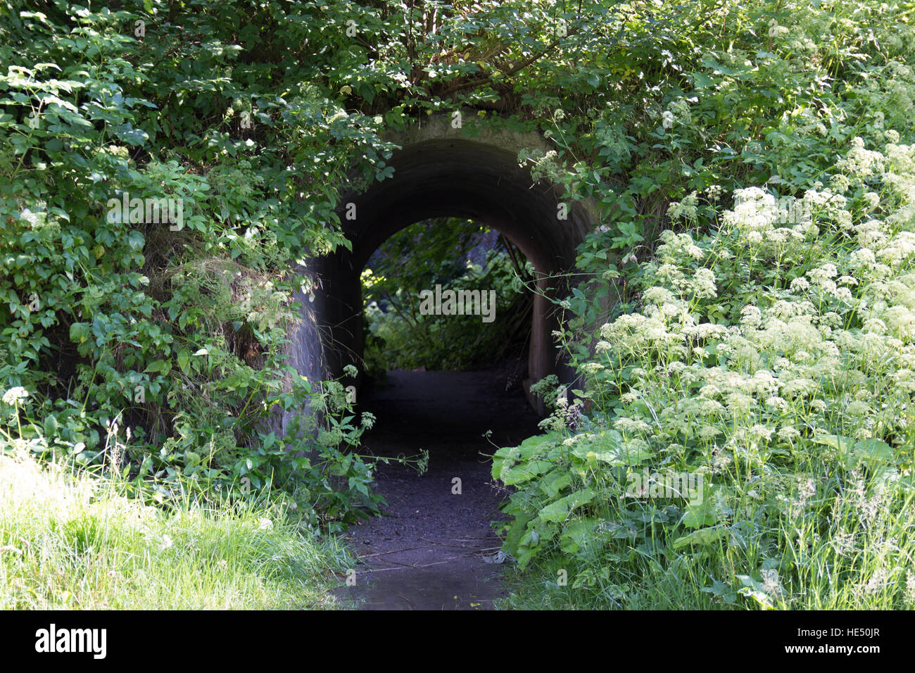 A hidden, secret passage on the path Stock Photo