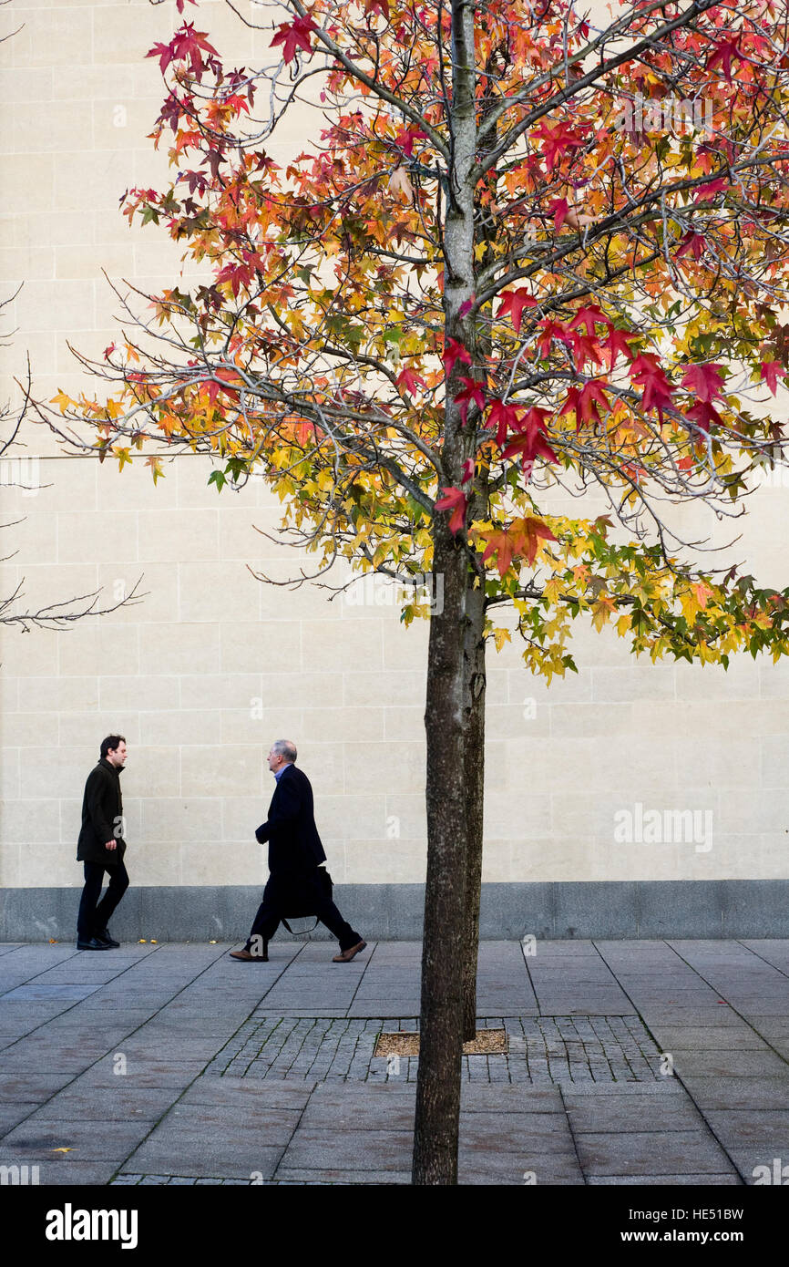 Graphic picture of commuters walking past tree Stock Photo
