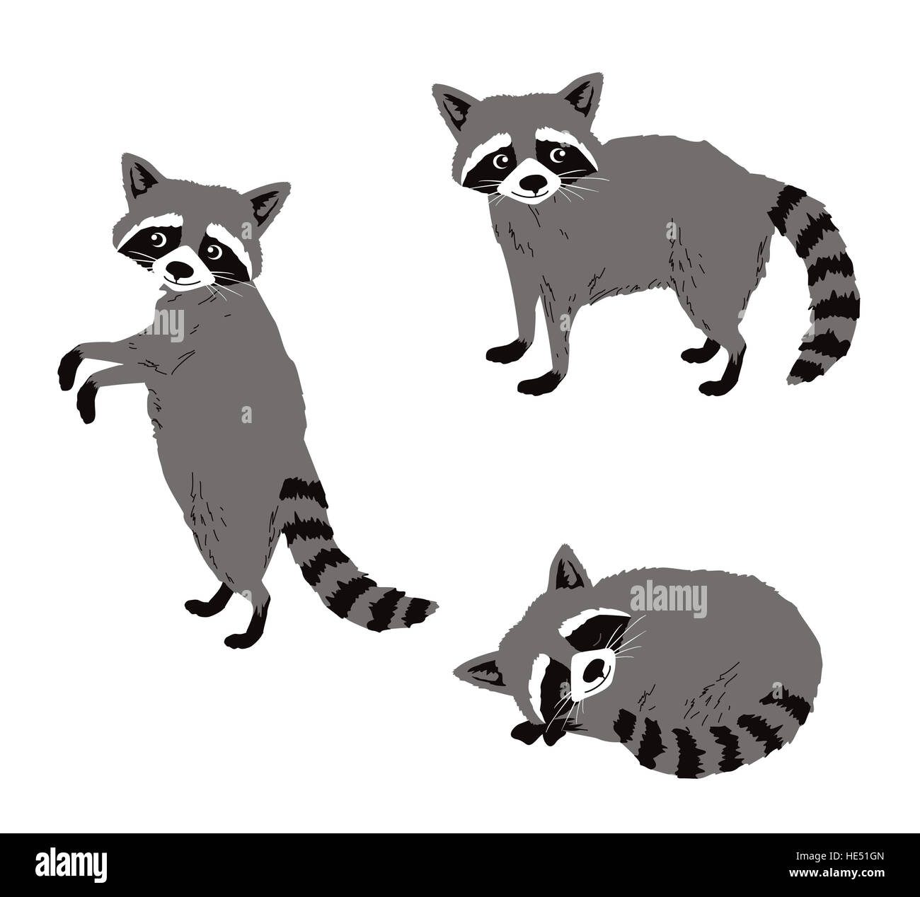 Cartoon raccoon hi-res stock photography and images - Alamy