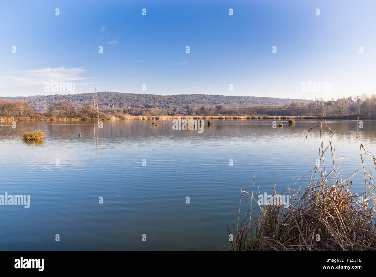 Marsh of Mercallo (lake Comabbio), province of Varese, Italy Stock Photo