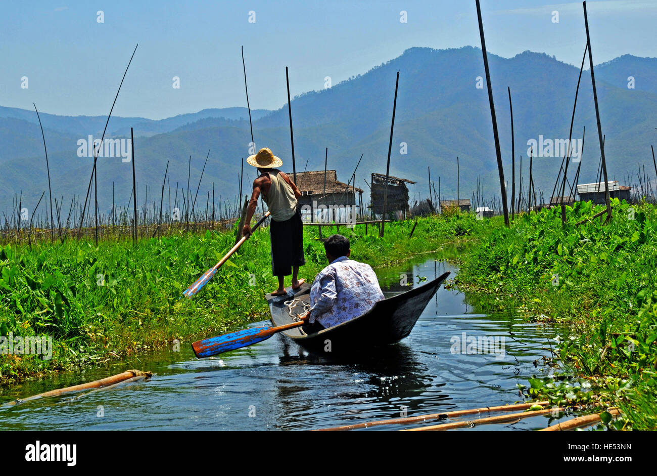 floating garden Inle Lake Myanmar Stock Photo Alamy