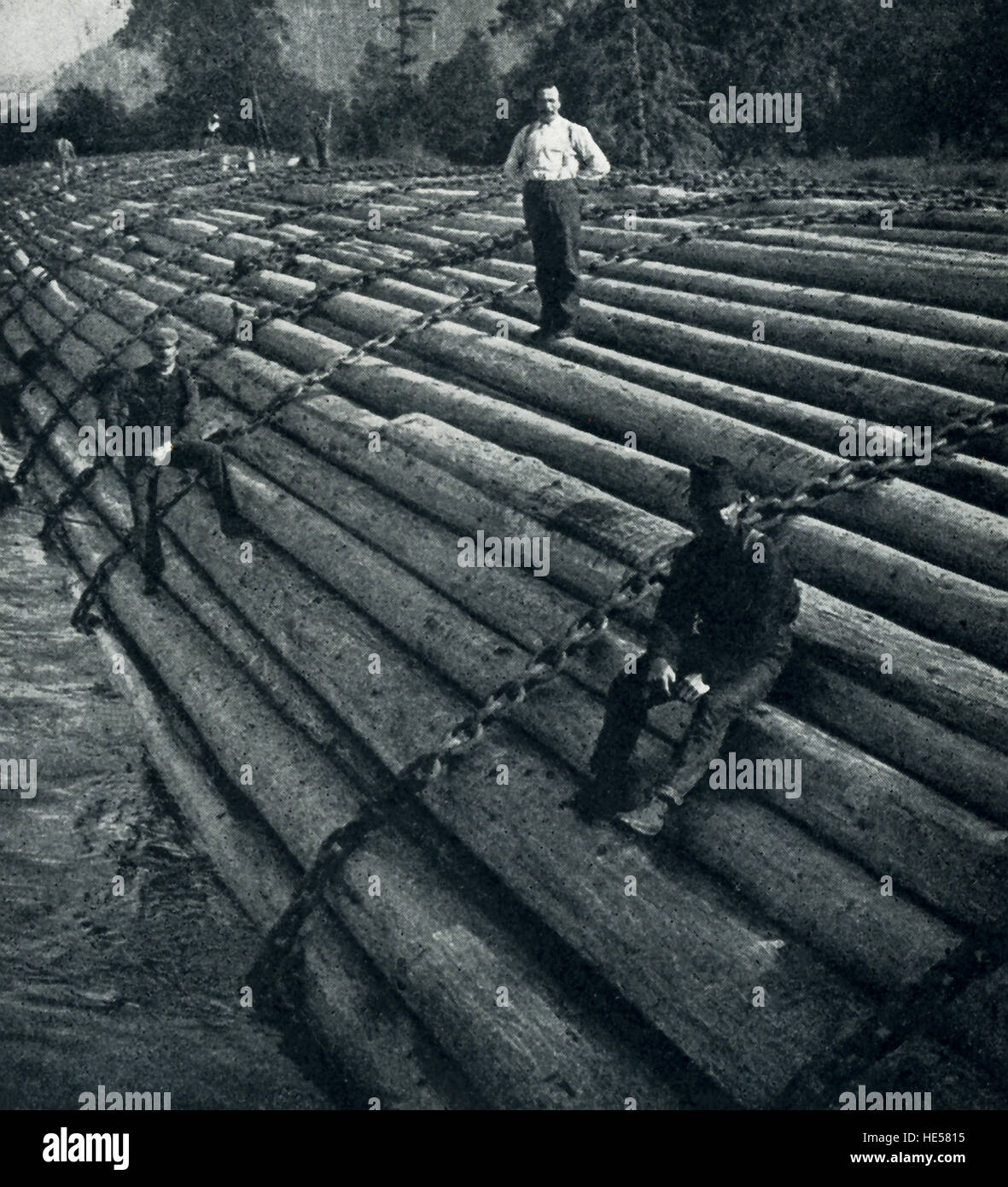 19th century logging hi-res stock photography and images - Alamy