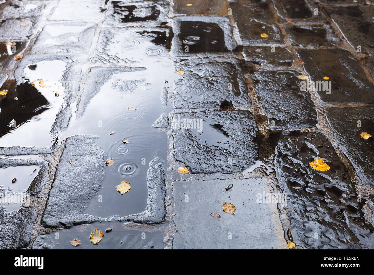 travel to Italy - old pavement with rain puddle and yellow fallen ...