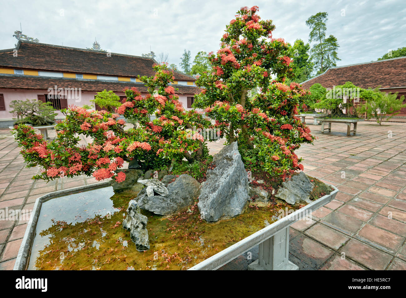 Bonsai garden at the Thien Mu Pagoda. Hue, Vietnam. Stock Photo