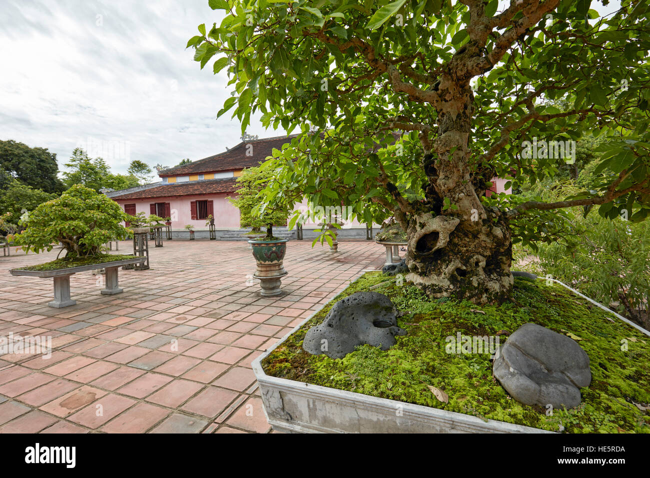 Bonsai garden hires stock photography and images Alamy