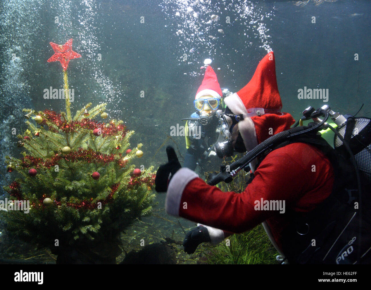 Ulm Germany 18th Dec 2016 Divers In Santa Claus Costumes Swim