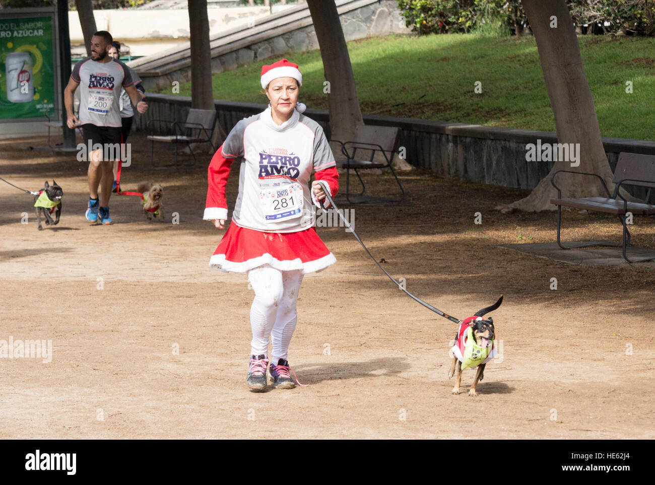 Las Palmas, Gran Canaria, Canary Islands, Spain. 18th December, 2016. Weather: Christmas fun run for dog owners in aid of local dogs home, raising awareness of the amount of dogs given as presents and abandoned soon after Christmas. Credit: Alan Dawson News/Alamy Live News Stock Photo