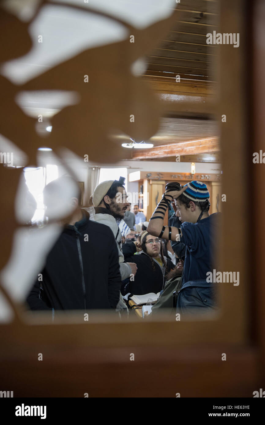 Amona Stock Photos & Amona Stock Images - Alamy