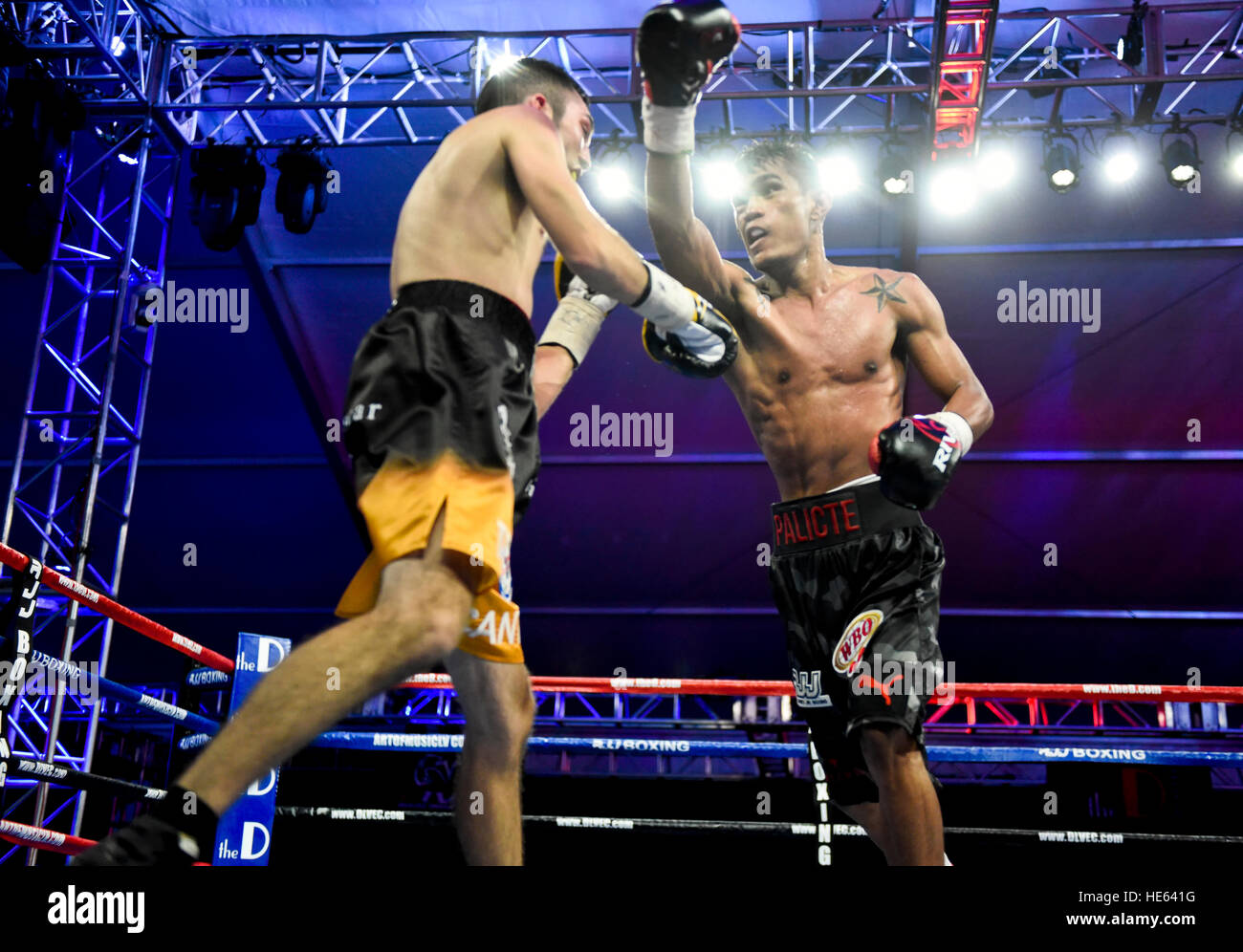 Las Vegas, Nevada, USA. 17th Dec, 2016. 'Lil' Oscar Cantu battles Aston Palicte in the main event a Super Flyweight championship bout at  “Knockout Night at the D”  presented by the D Las Vegas and DLVEC and promoted by Roy Jones Jr. Boxing. Credit: Ken Howard/Alamy Live News Stock Photo