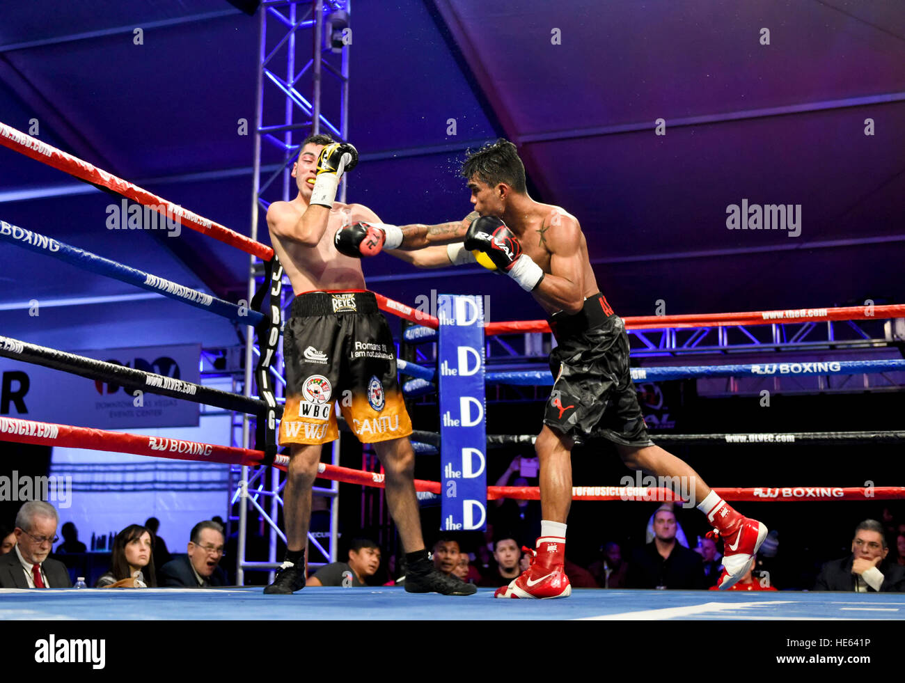 Las Vegas, Nevada, USA. 17th Dec, 2016. Aston Palicte goes ten rounds and wins a split decision against 'Lil' Oscar Cantu in the main event, a Super Flyweight championship bout at  “Knockout Night at the D”  presented by the D Las Vegas and DLVEC and promoted by Roy Jones Jr. Boxing. Credit: Ken Howard/Alamy Live News Stock Photo