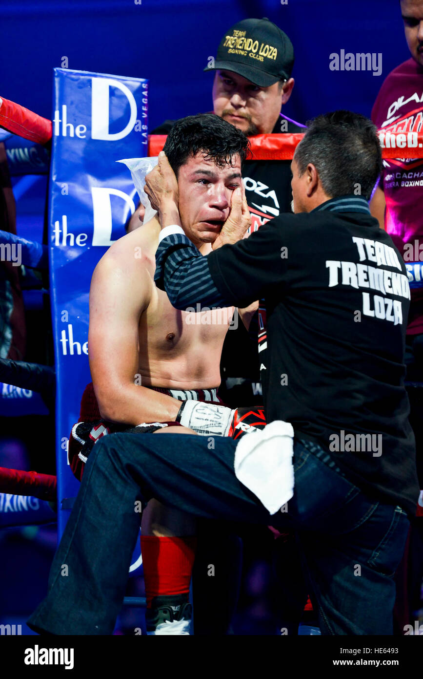 Las Vegas, Nevada, USA. 17th December, 2016. Dilan Loza in the corner between rounds in a welterweight bout against Flavio Rodriguez at “Knockout Night at the D”  presented by the D Las Vegas and DLVEC and promoted by Roy Jones Jr. Boxing. Credit: Ken Howard/Alamy Live News Stock Photo