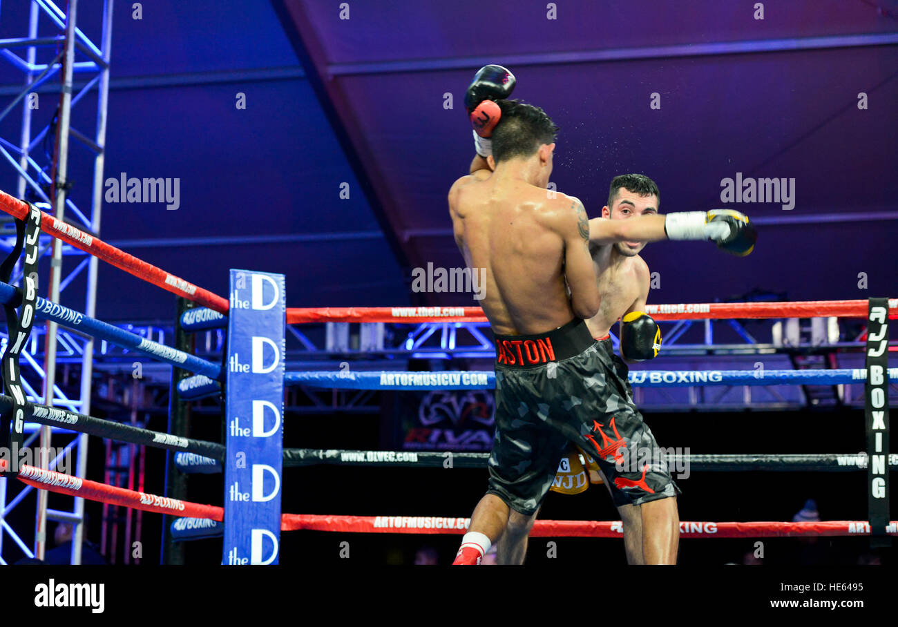 Las Vegas, Nevada, USA. 17th December, 2016. 'Lil' Oscar Cantu battles Aston Palicte in the main event, a Super Flyweight championship bout at  “Knockout Night at the D”  presented by the D Las Vegas and DLVEC and promoted by Roy Jones Jr. Boxing. Credit: Ken Howard/Alamy Live News Stock Photo