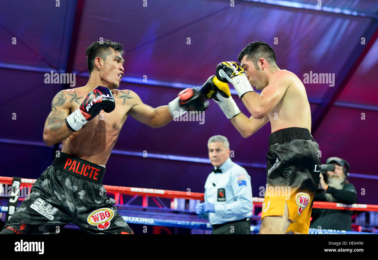 Las Vegas, Nevada, USA. 17th December, 2016. 'Lil' Oscar Cantu battles Aston Palicte in the main event, a Super Flyweight championship bout at  “Knockout Night at the D”  presented by the D Las Vegas and DLVEC and promoted by Roy Jones Jr. Boxing. Credit: Ken Howard/Alamy Live News Stock Photo