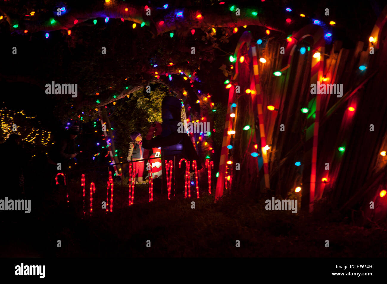 Homes decorated for Christmas on Morse Drive community, Pacific Grove
