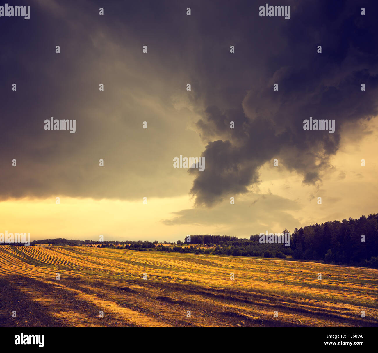 Dark Toned Landscape with Field and Gloomy Sky Stock Photo - Alamy