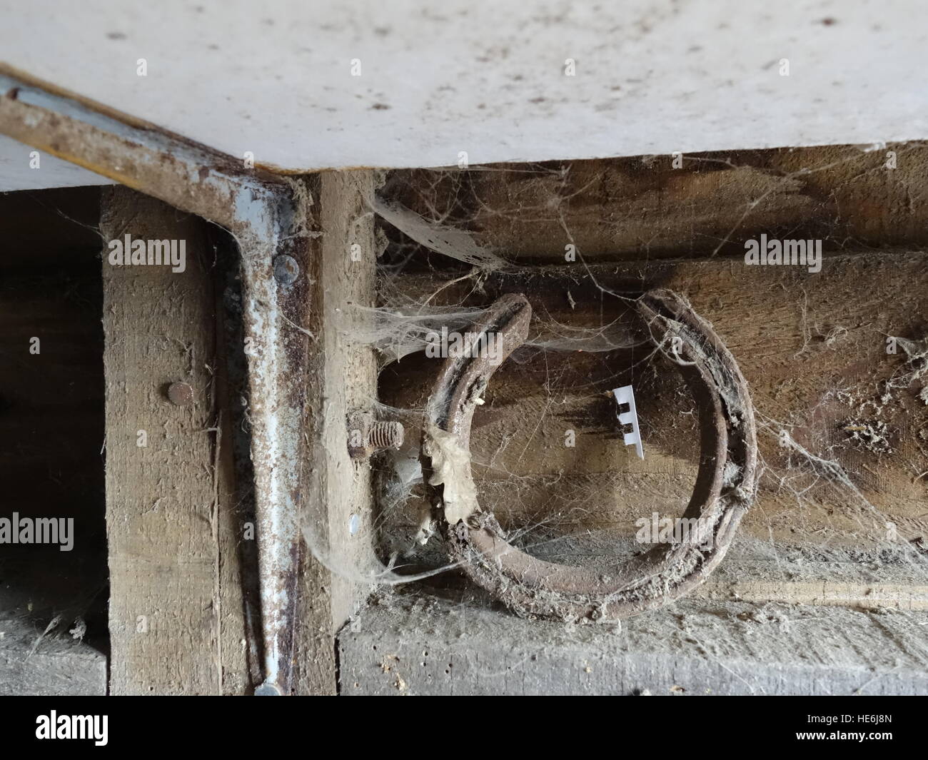 Old dusty, creepy objects covered in cobwebs and dust Stock Photo Alamy