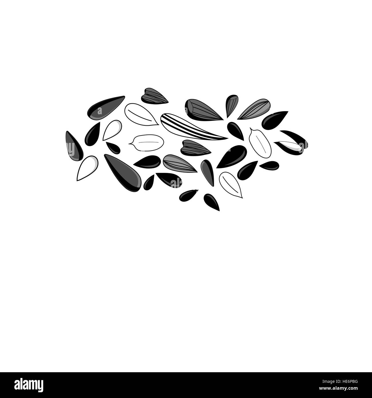 Vector illustration of different black seeds on a white background